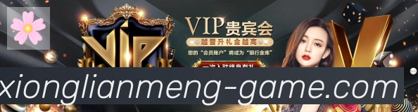 奖项证书